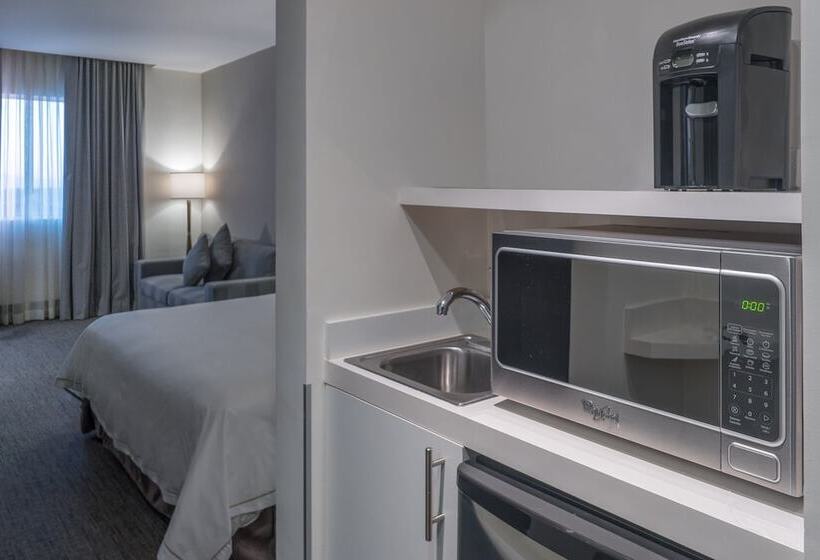 スイート, Holiday Inn Express & Suites Silao Aeropuerto Terminal, An Ihg