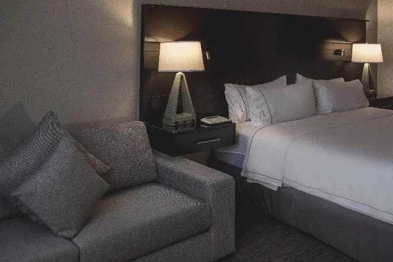 スイート, Holiday Inn Express & Suites Silao Aeropuerto Terminal, An Ihg
