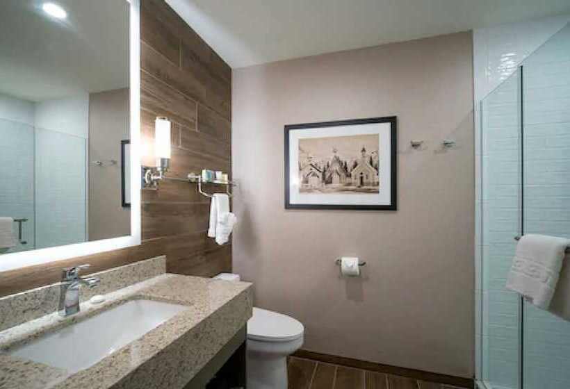 프리미엄 룸, The Malcolm