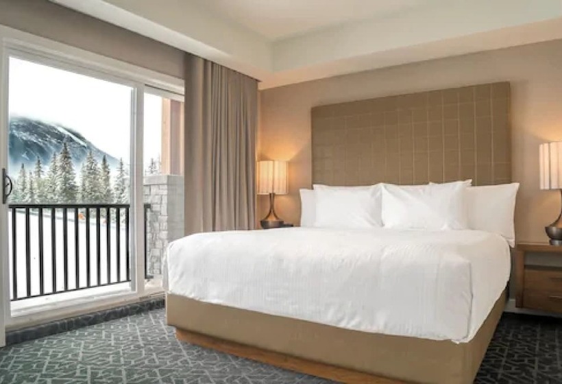 프리미엄 룸, The Malcolm