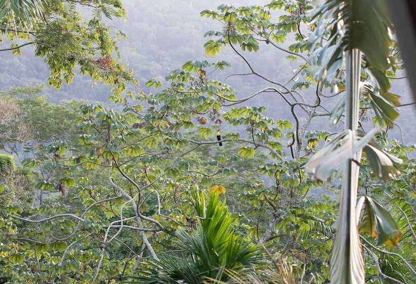 کابین, Omega Tours Eco Jungle Lodge