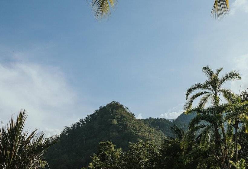 کابین, Omega Tours Eco Jungle Lodge