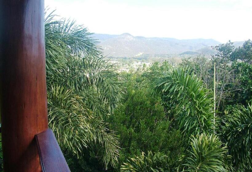 スタンダードルーム, The Summit Bed & Breakfast