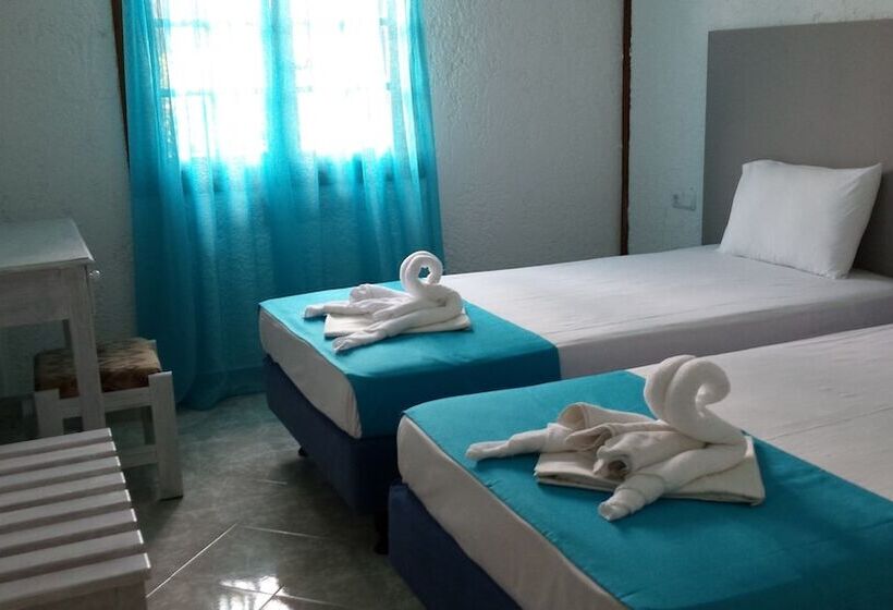 스탠다드 스튜디오, Valentina Apartments