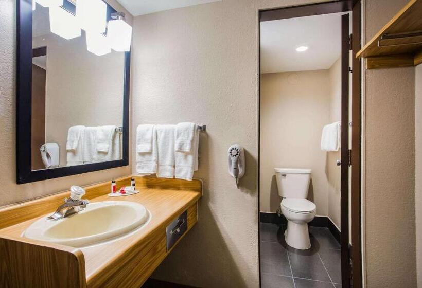 キングサイズベッドのスタンダードルーム, Baymont By Wyndham Appleton