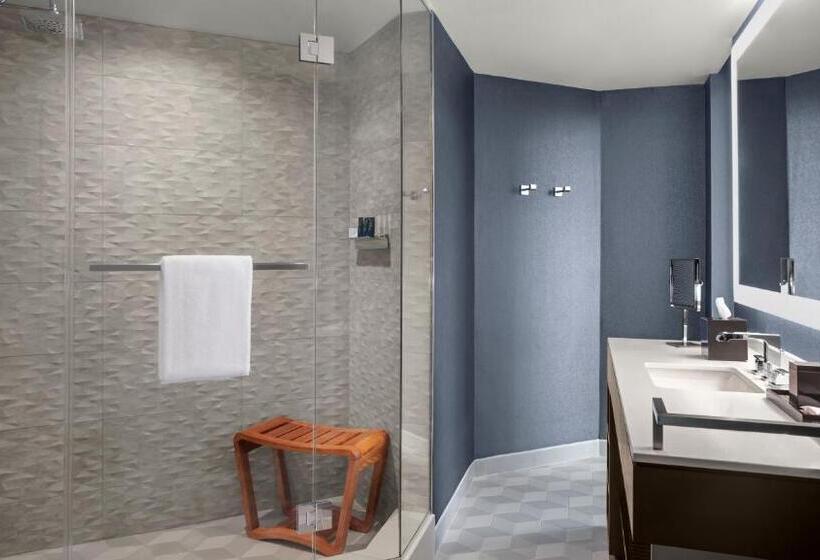 발코니 디럭스 룸, Hyatt Centric Brickell Miami