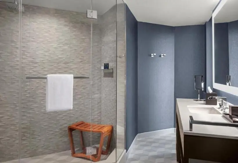 バルコニー付きデラックスルーム, Hyatt Centric Brickell Miami