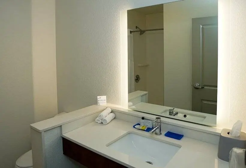 身障者適用スイートルーム, Holiday Inn Express & Suites   Aurora Medical Campus, An Ihg