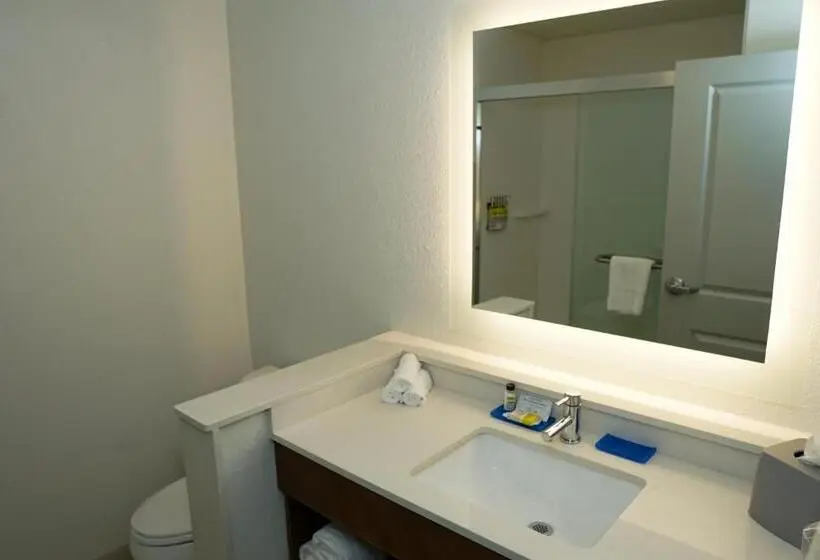 エクゼクティブスイート, Holiday Inn Express & Suites   Aurora Medical Campus, An Ihg