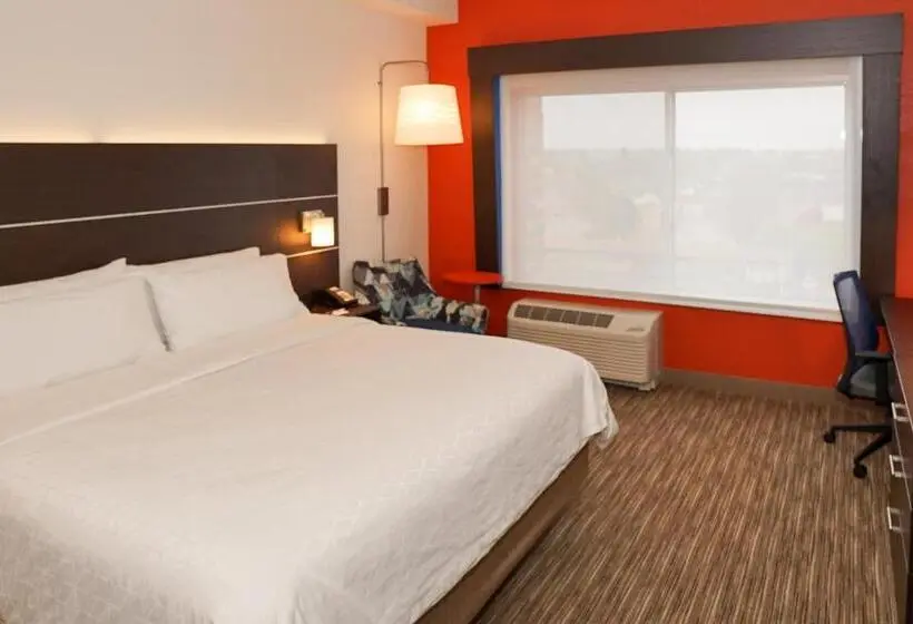 身障者適用キングサイズベッドルーム, Holiday Inn Express & Suites   Aurora Medical Campus, An Ihg