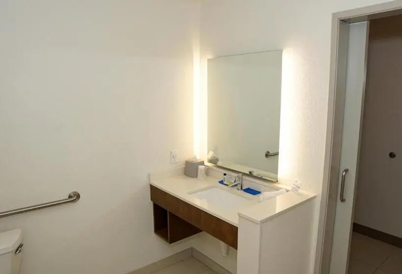 身障者適用キングサイズベッドルーム, Holiday Inn Express & Suites   Aurora Medical Campus, An Ihg