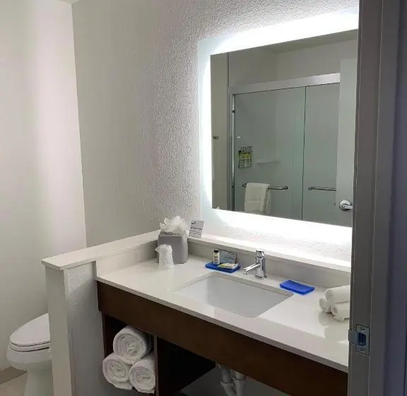 身障者適用スタンダードルーム, Holiday Inn Express & Suites   Aurora Medical Campus, An Ihg