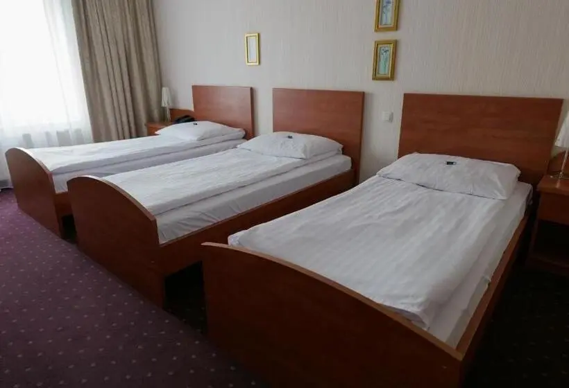 Standard Kolmen Hengen Huone, Sen