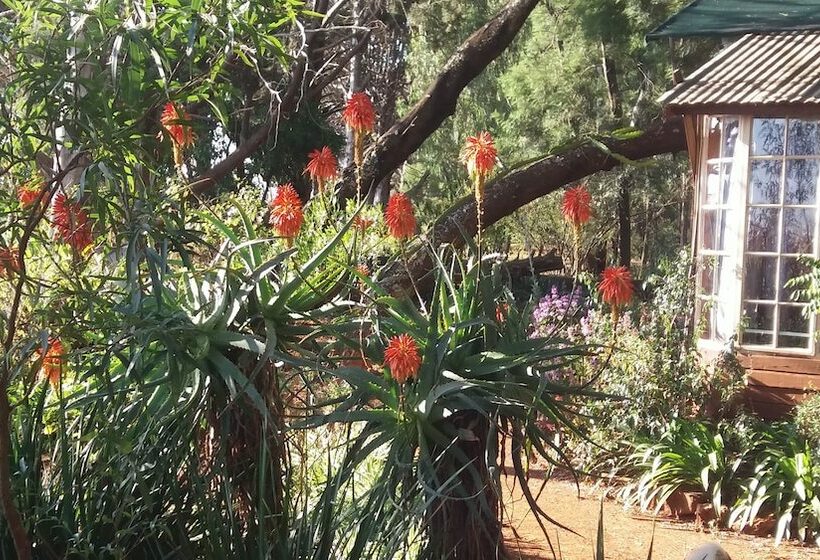 Шале 1 Спальня, Woodland Gardens