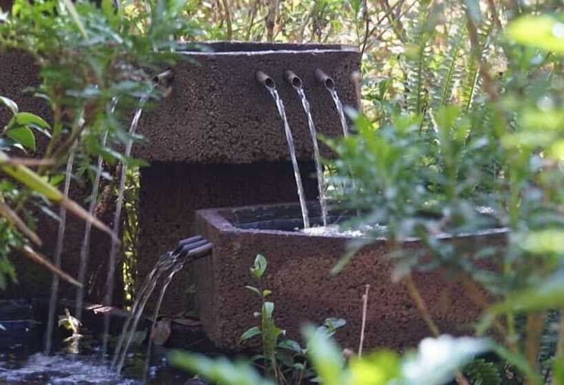 Шале 1 Спальня, Woodland Gardens