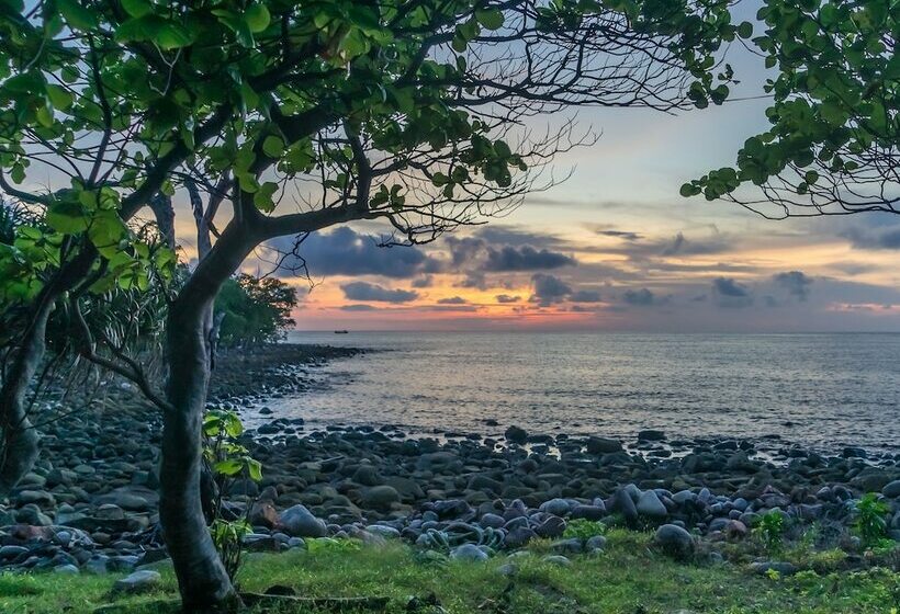 デラックスバンガロー, Driftwood Hostel And Bungalows