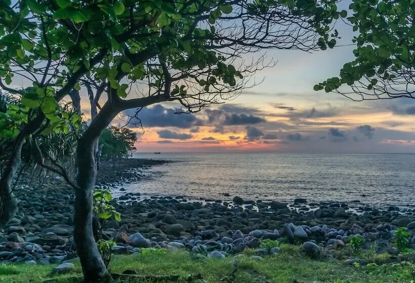 デラックスバンガロー, Driftwood Hostel And Bungalows