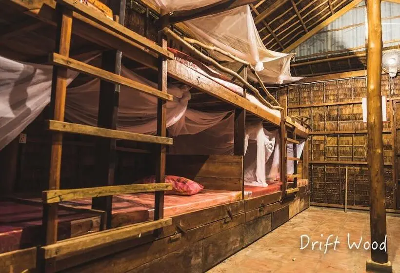 ルームシェアのワンベッド, Driftwood Hostel And Bungalows
