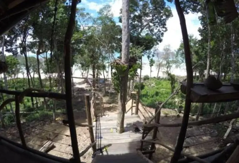 ルームシェアのワンベッド, Driftwood Hostel And Bungalows