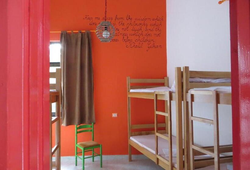 공동 객실, Hostel Durres