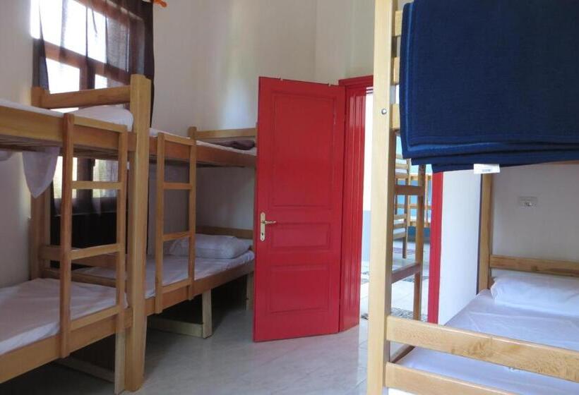 تختخواب در اتاق مشترک, Hostel Durres