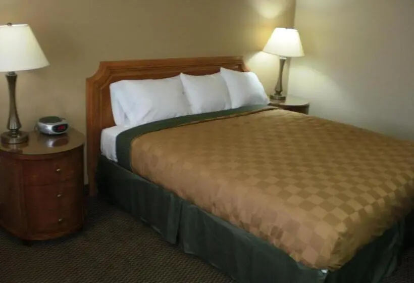 キングサイズベッドのスタンダードルーム, Executive Inn Mojave