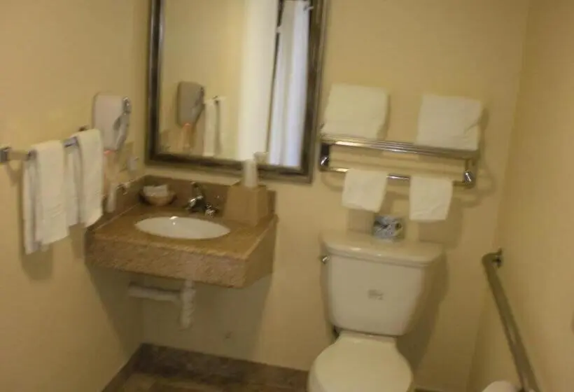 キングサイズベッドのスタンダードルーム, Executive Inn Mojave
