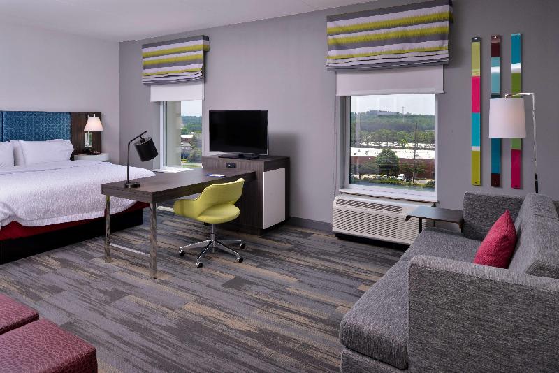 اتاق استاندارد با تخت بزرگ, Hampton Inn & Suites Atlanta/marietta