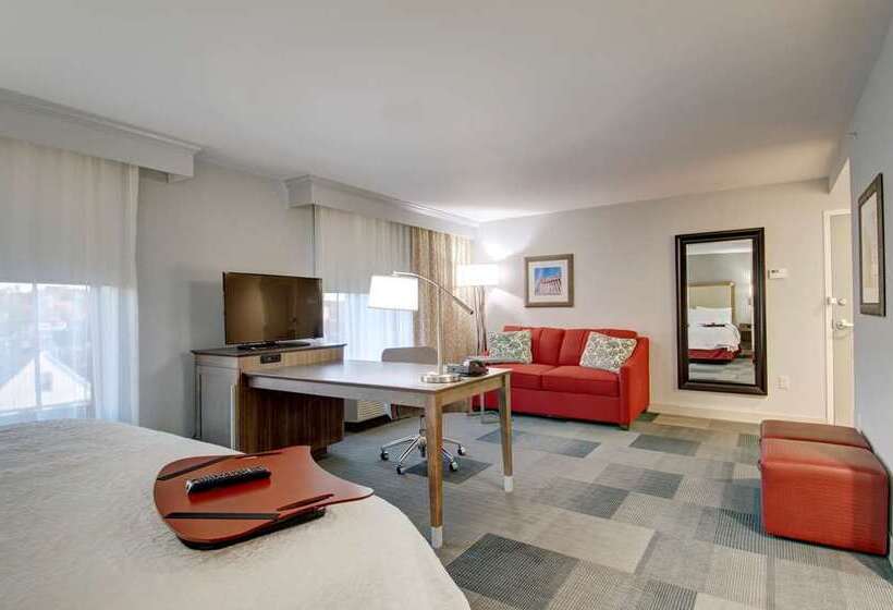 اتاق استاندارد با تخت بزرگ, Hampton Inn & Suites Atlanta/marietta