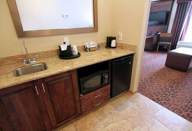 اتاق استاندارد با تخت بزرگ, Hampton Inn & Suites Atlanta/marietta