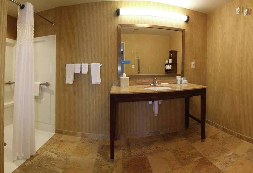 اتاق استاندارد با تخت بزرگ, Hampton Inn & Suites Atlanta/marietta
