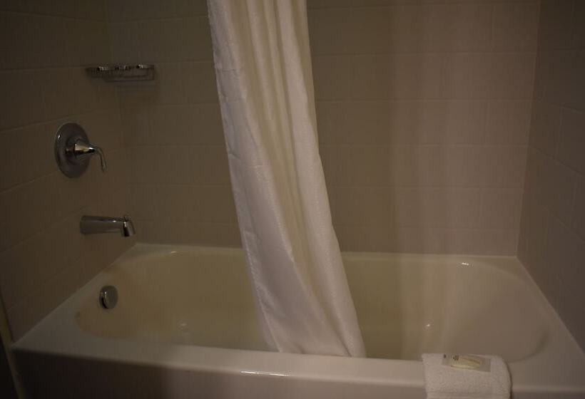 套房, Mainstay Suites Moab Near Arches National Park