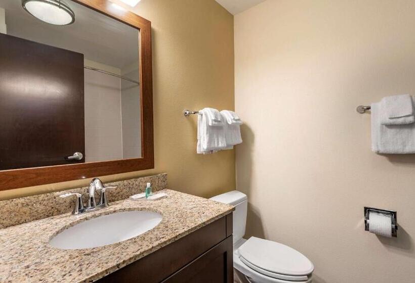 带大床的套房, Mainstay Suites Moab Near Arches National Park