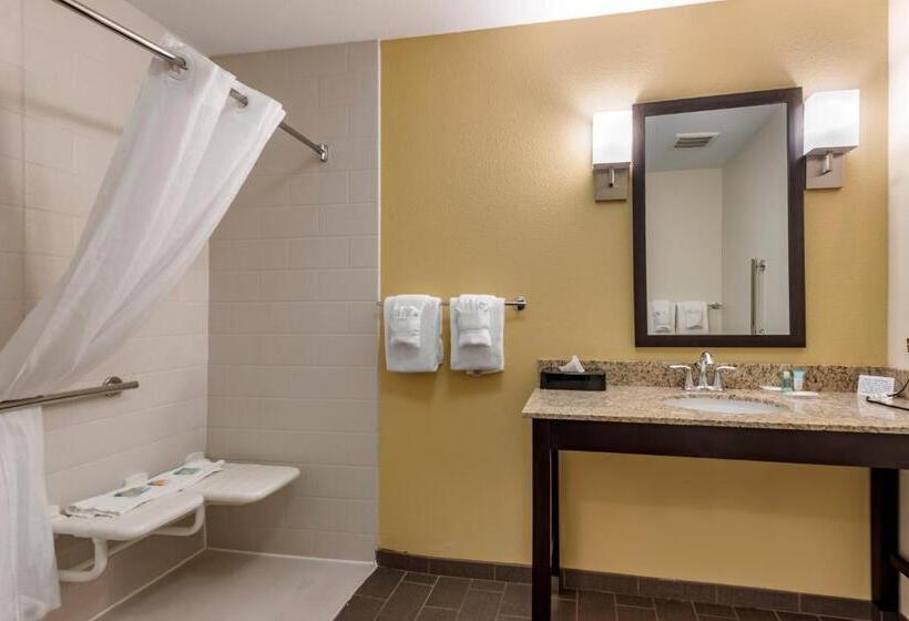 适合残疾人士使用的套间, Mainstay Suites Moab Near Arches National Park