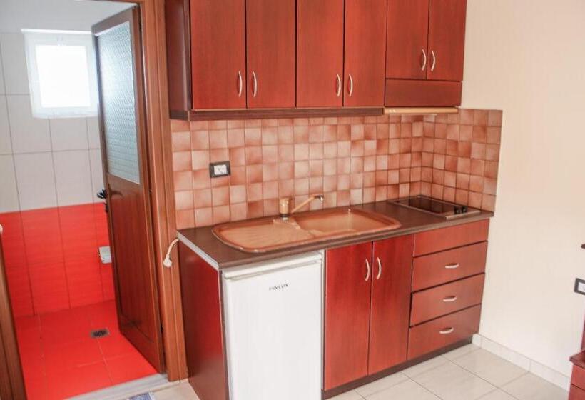 Estudio Estàndard, New Crystal