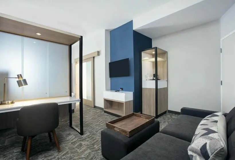سوییت, Springhill Suites By Marriott Miami Doral