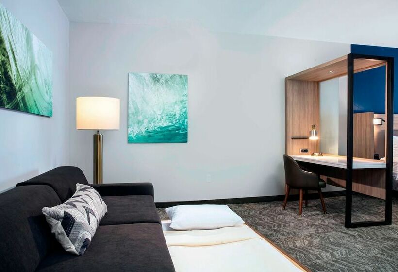 스위트, Springhill Suites By Marriott Miami Doral