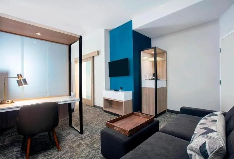 سوئیت با تخت بزرگ, Springhill Suites By Marriott Miami Doral