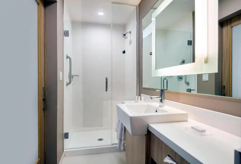 سوئیت با تخت بزرگ, Springhill Suites By Marriott Miami Doral