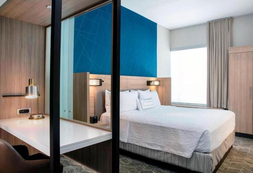 스위트 킹사이즈 침대, Springhill Suites By Marriott Miami Doral