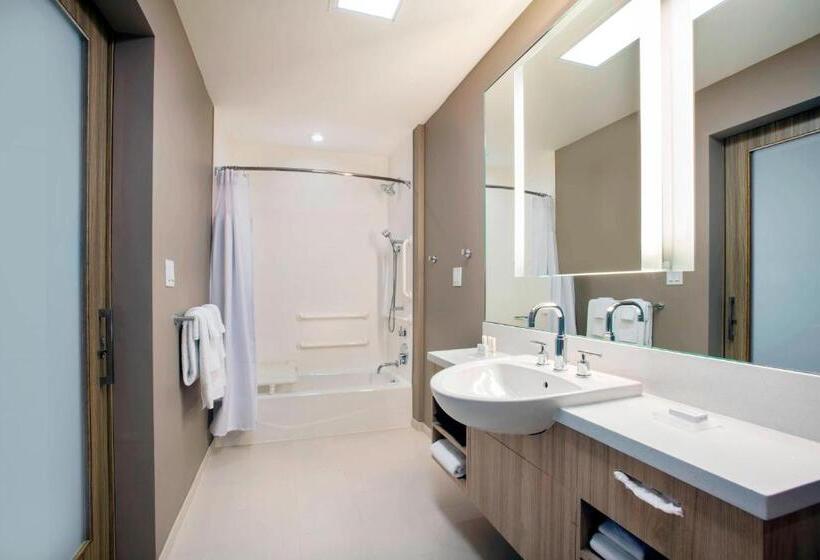 스위트, Springhill Suites By Marriott Miami Doral