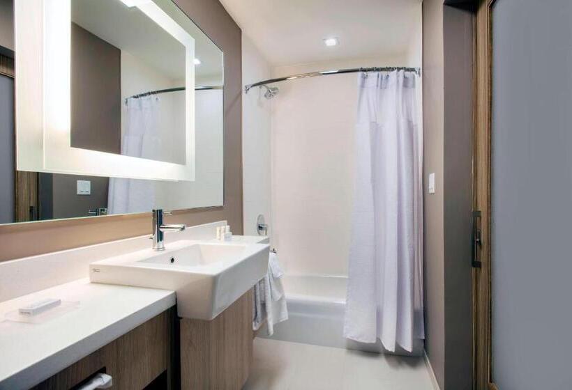 סוויטה, Springhill Suites By Marriott Miami Doral