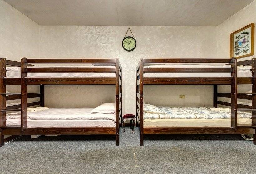 Vuode Makuusalissa, Dikat Hostel