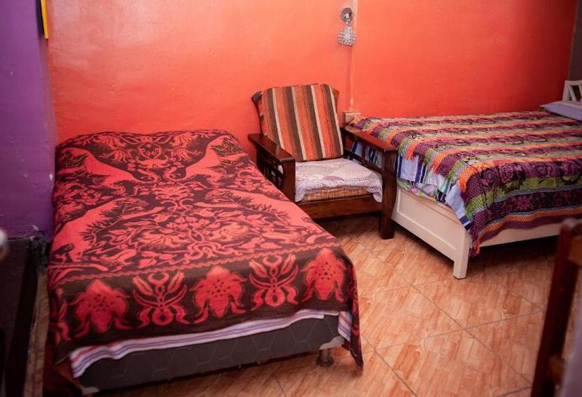 Номер Стандарт, Ugarte Street