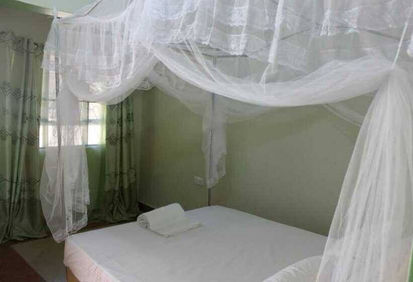 اتاق استاندارد, Stegra