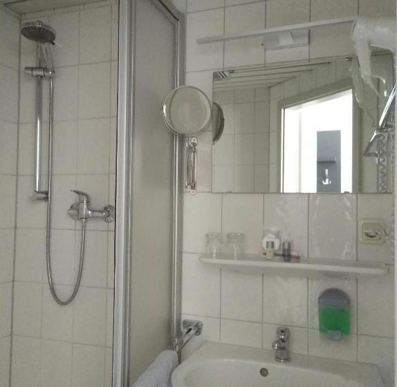 غرفة قياسية, Waldhaus Pulsnitz