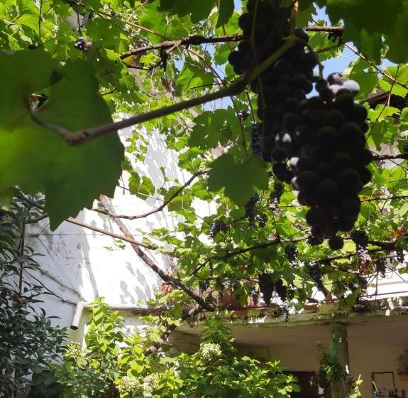 带1个卧室的公寓, Vrenjo Guesthouse