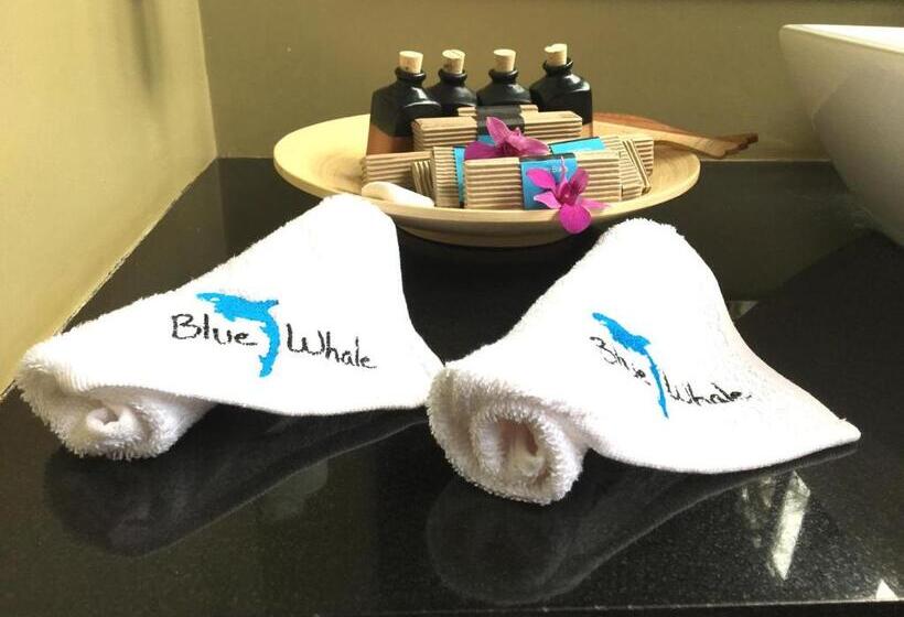 豪华房间, Blue Whale Resort & Kite Surfing