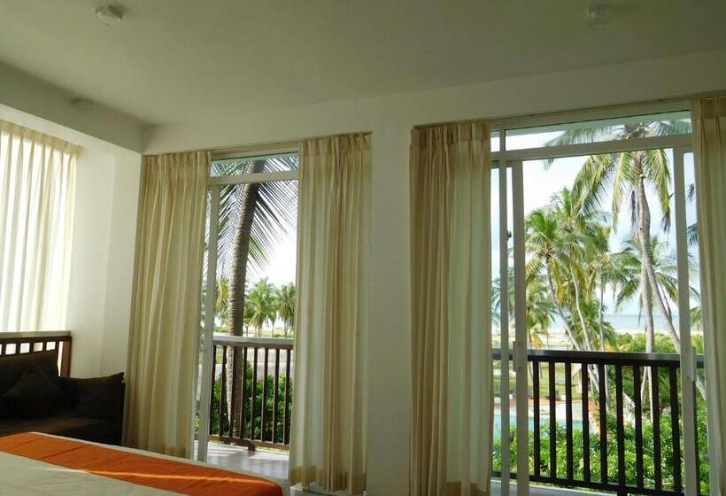 带大床的套房, Blue Whale Resort & Kite Surfing