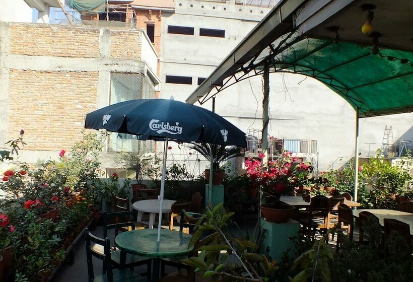 اتاق استاندارد, Dolphin